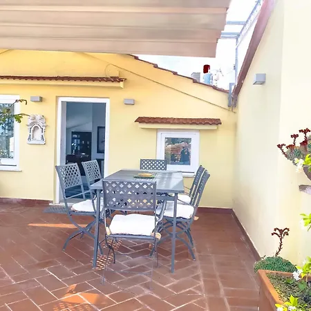 - The Roof