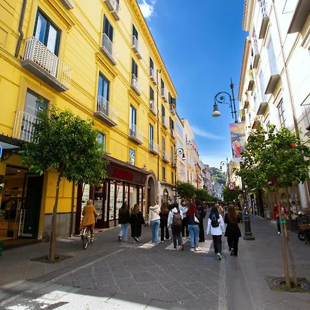 Apartment - The Roof